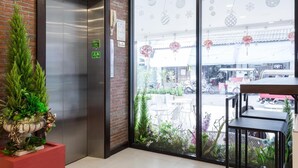 Un ascensor con un letrero verde, una planta en maceta y vistas de la calle.