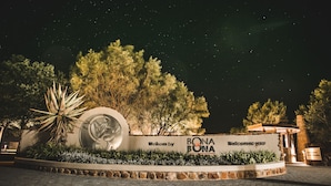 Placa de boas-vindas bem iluminada com os dizeres 'BONANA' e 'Bem-vindo', rodeada por plantas e árvores típicas do deserto sob um céu estrelado.