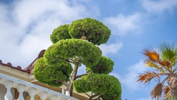 Habitació estàndard | Terrassa o pati