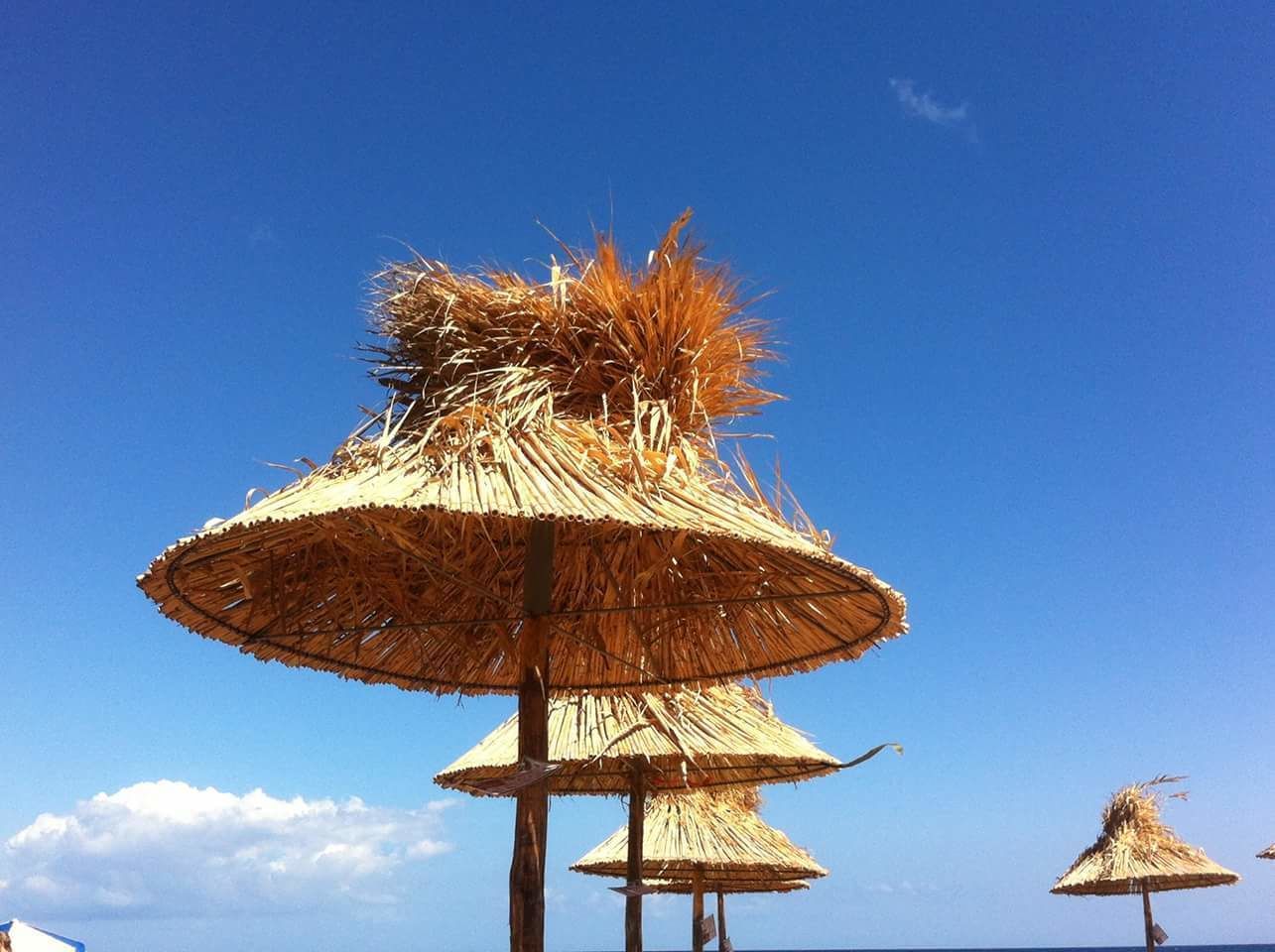 on the beach, beach bar