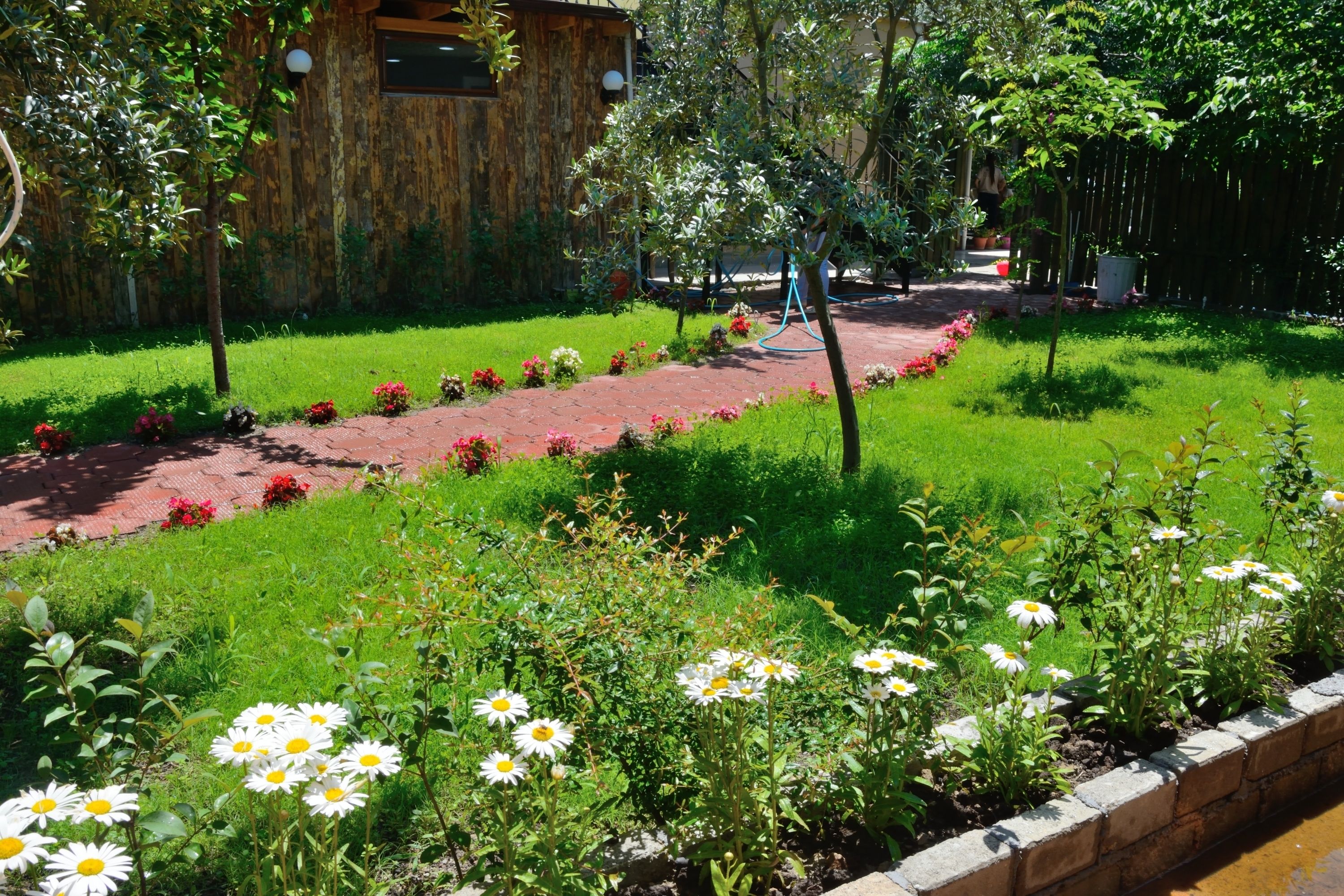 A garden with a brick pathway, flowering plants, and a wooden building with a window.