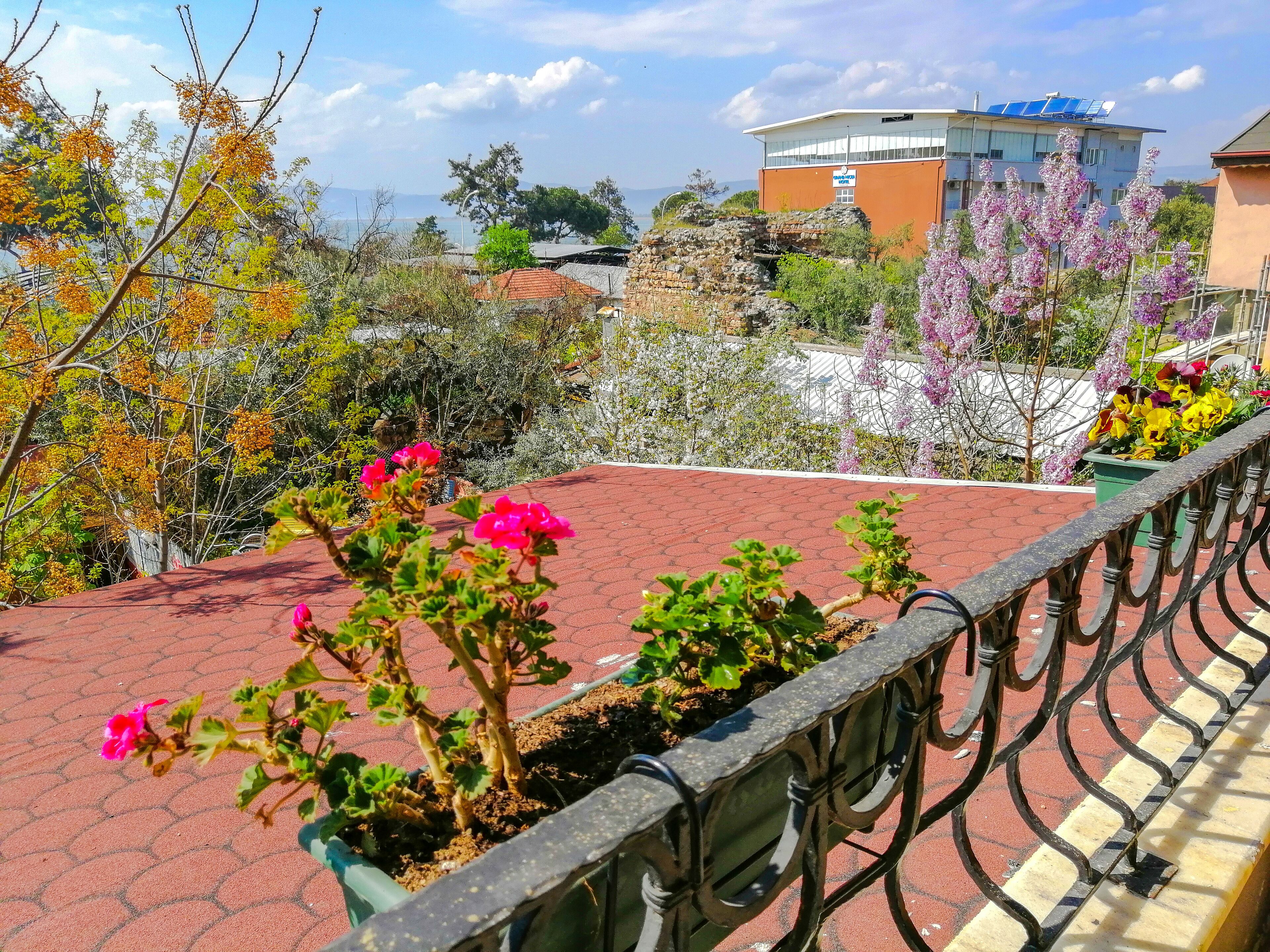 A rooftop garden with potted plants and flowers, a metal railing, and a view of buildings and trees in the background.