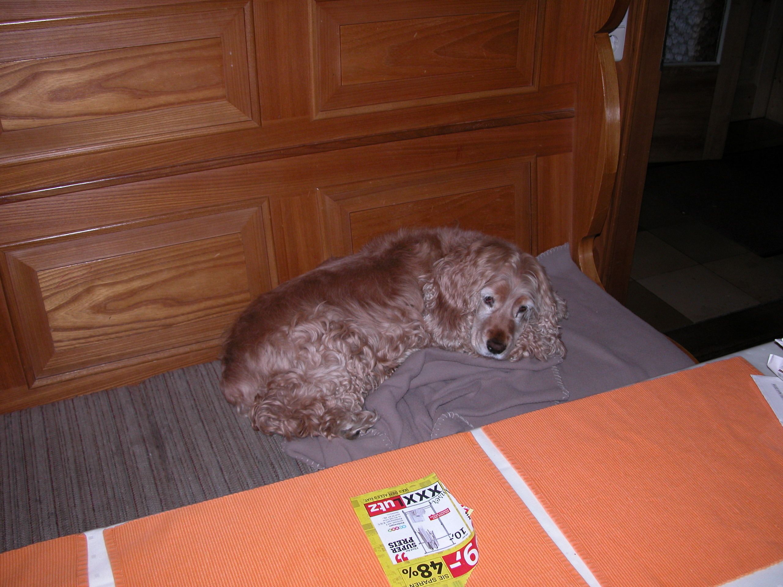 Foto - Hotel-Restaurant Zum Hirschhaus Inklusiv Chiemgaukarte