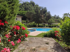 Una piscina circondata da vegetazione rigogliosa e fiori rossi.