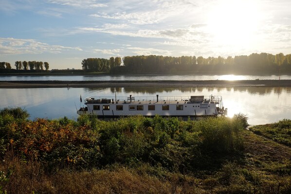 A riverboat docked at a calm river with a forested shoreline in the background. - RheinRiver Guesthouse - Direkt am Rhein (Leverkusen)