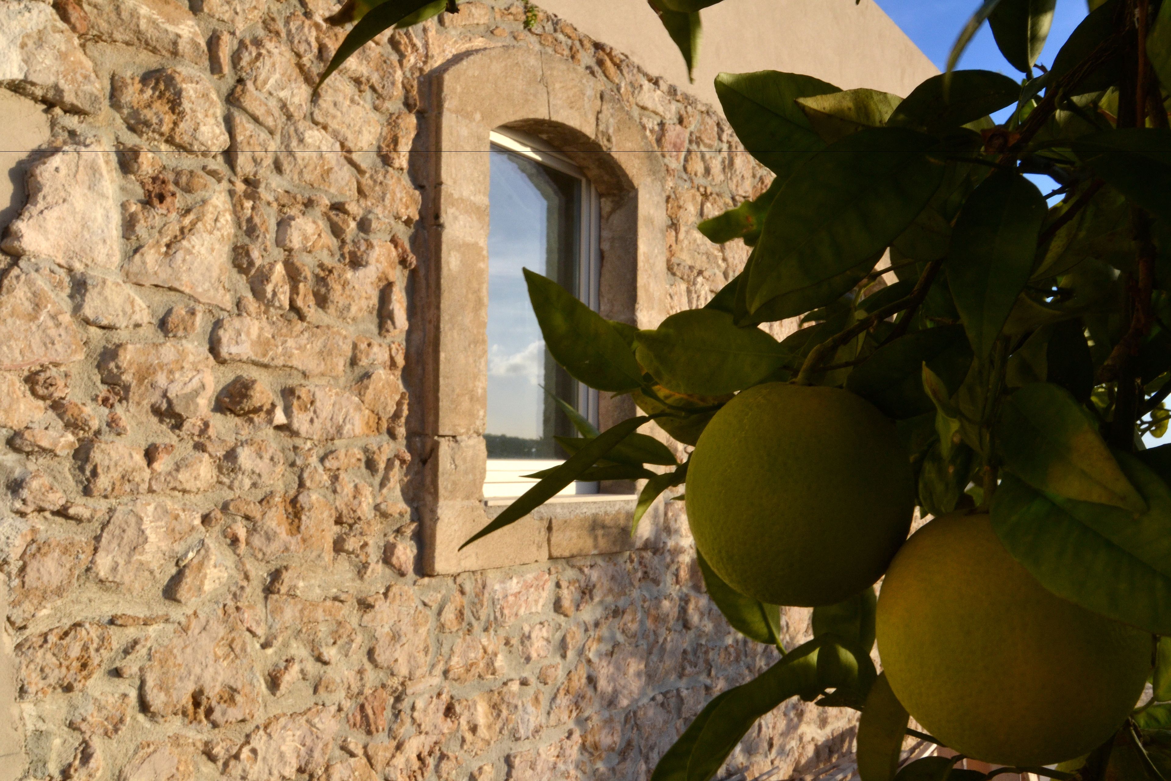 Un bâtiment en pierre avec une fenêtre et un arbre aux feuilles vertes.