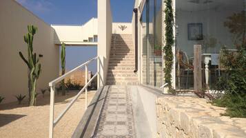 Un escalier menant à un bâtiment dont le sol est décoré de motifs, avec un cactus et une clôture en bois.