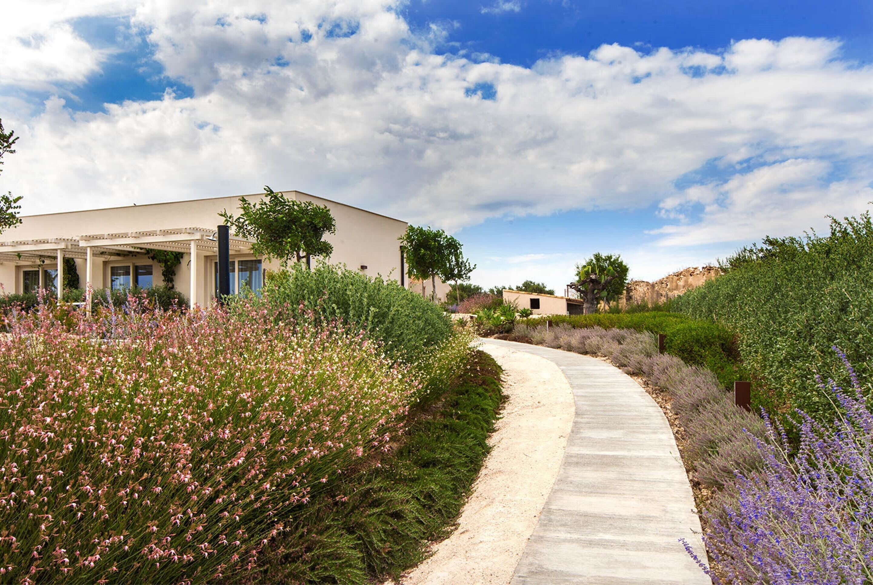 Deluxe-Doppelzimmer, 1 King-Bett