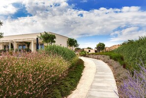 Deluxe Double Room, 1 King Bed | Premium bedding, minibar, in-room safe, individually decorated - Scilla Maris Charming Suites-Restaurant (Noto)