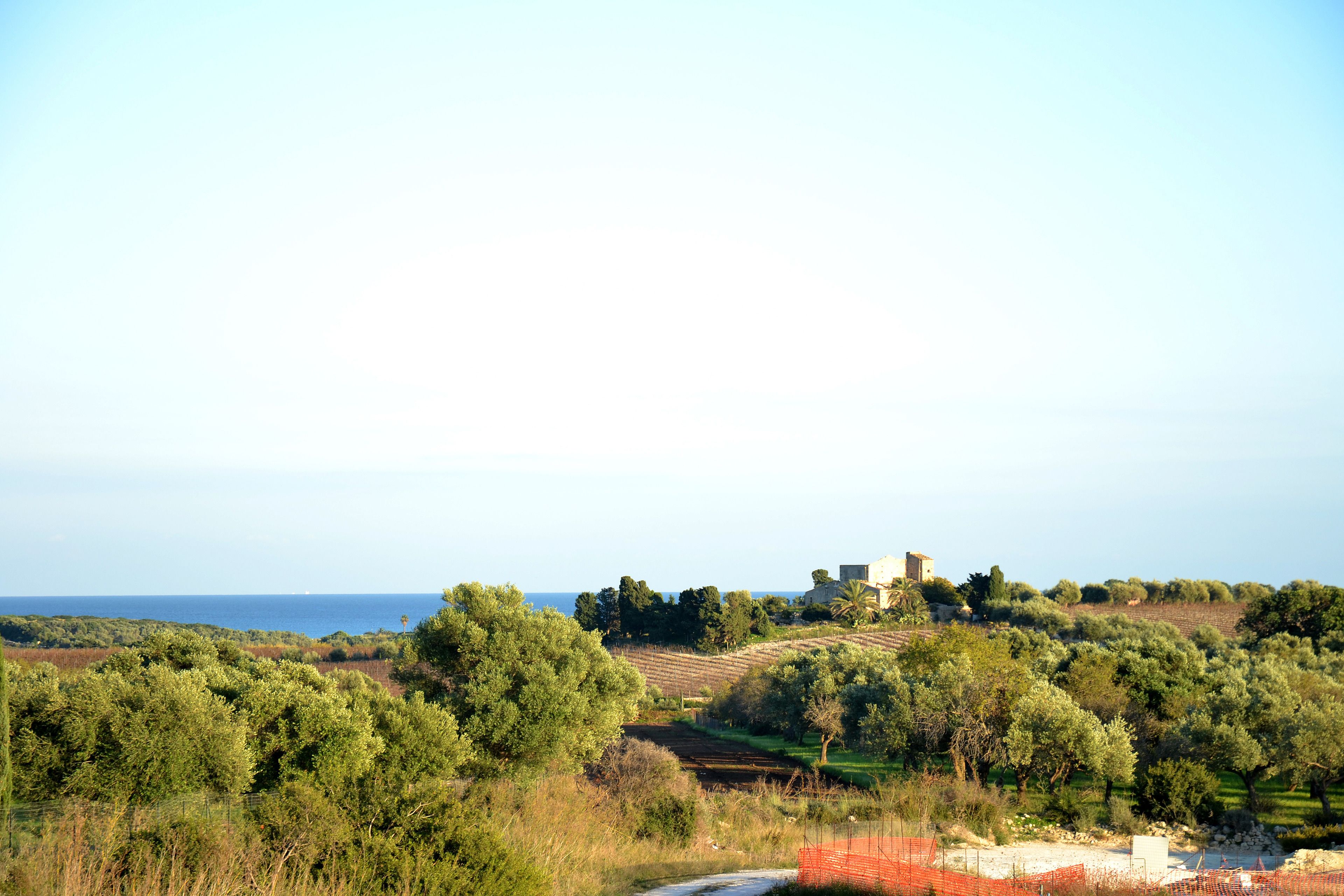 Un paysage côtier avec des oliviers, une colline surmontée d’un bâtiment et un ciel dégagé.