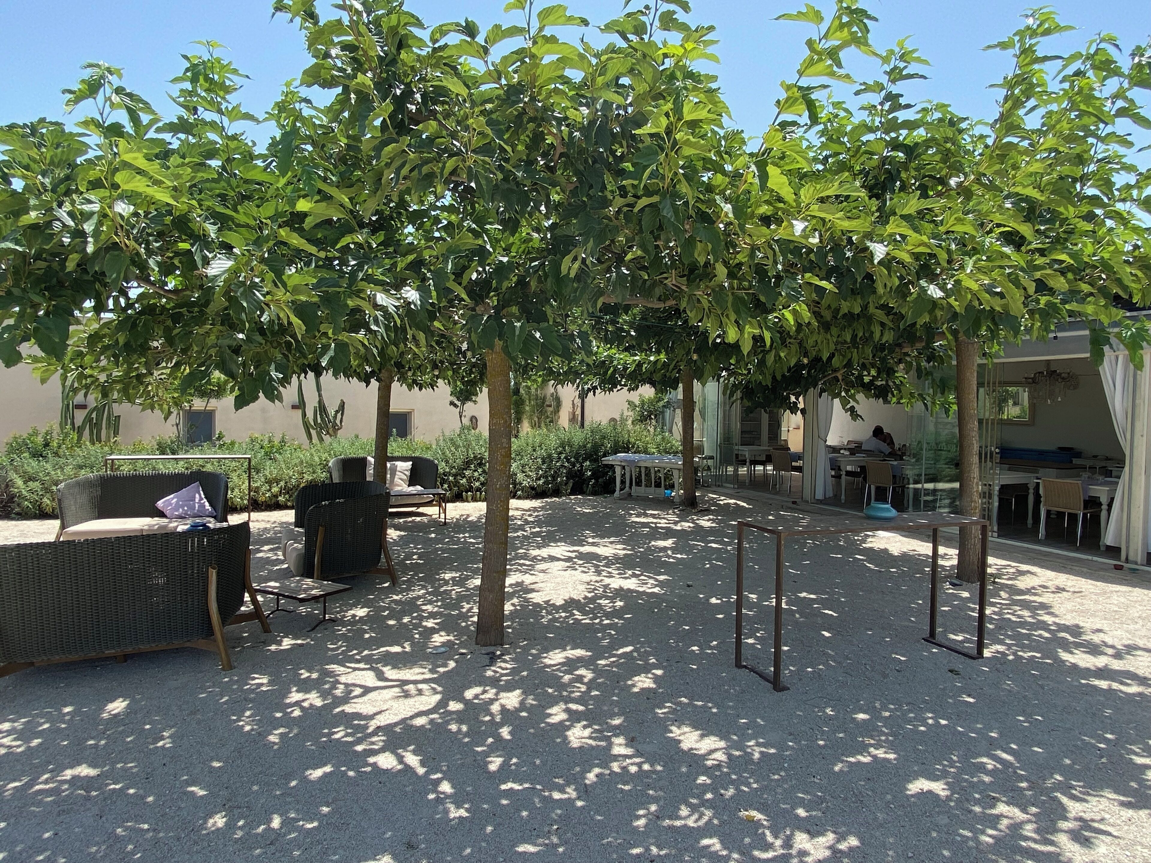 An outdoor seating area with wicker furniture and a pergola providing shade.