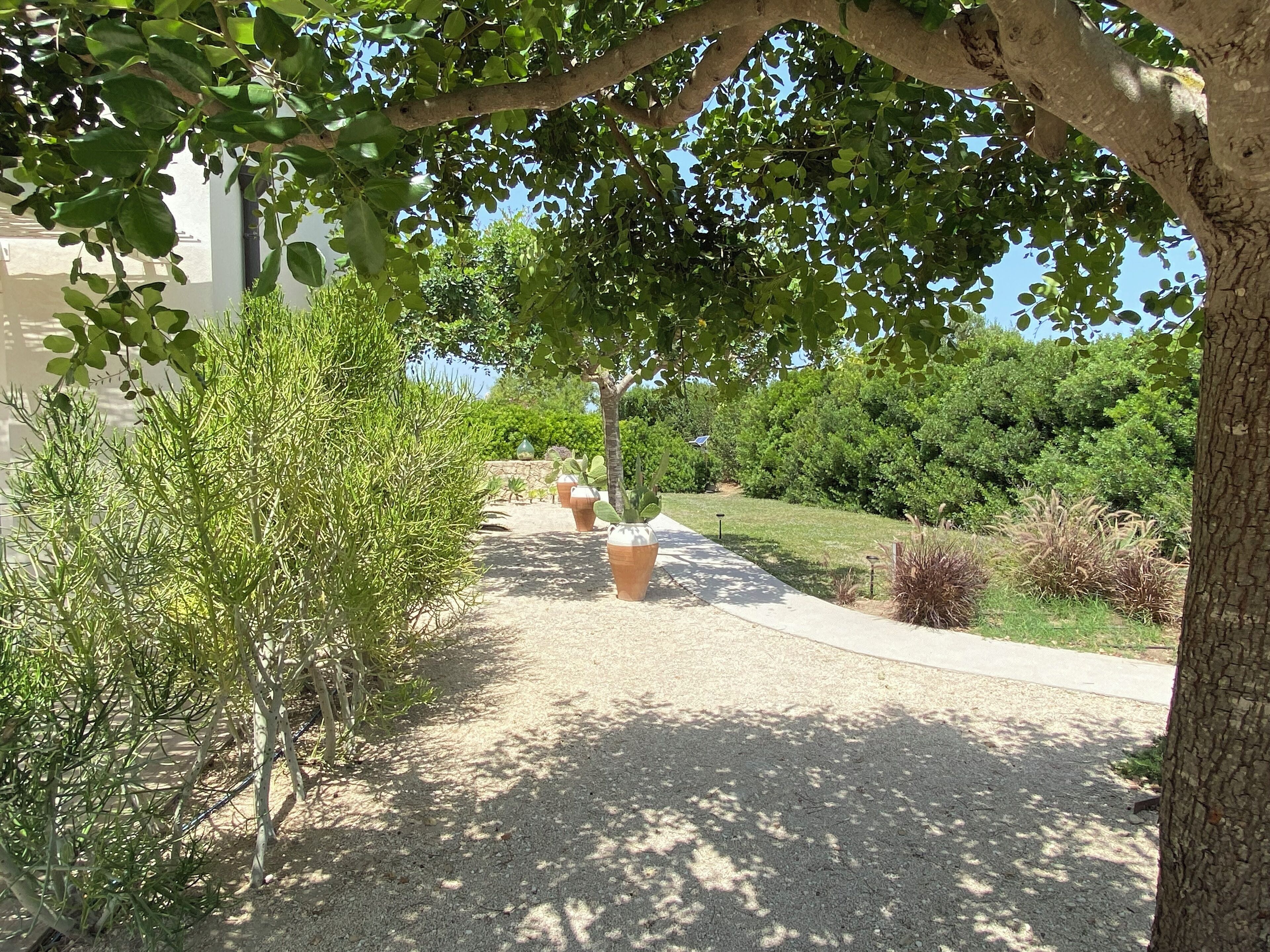 A pathway lined with potted plants and trees, leading to a grassy area with a stone wall and a clear blue sky in the background.