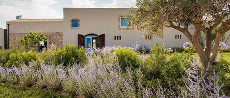 Un edificio de fachada de piedra, una puerta azul y un jardín con plantas de lavanda.