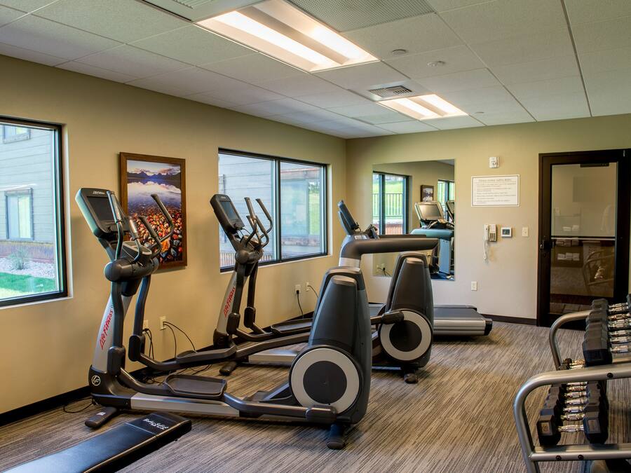 A gym with treadmills, elliptical machines, and a weight bench.