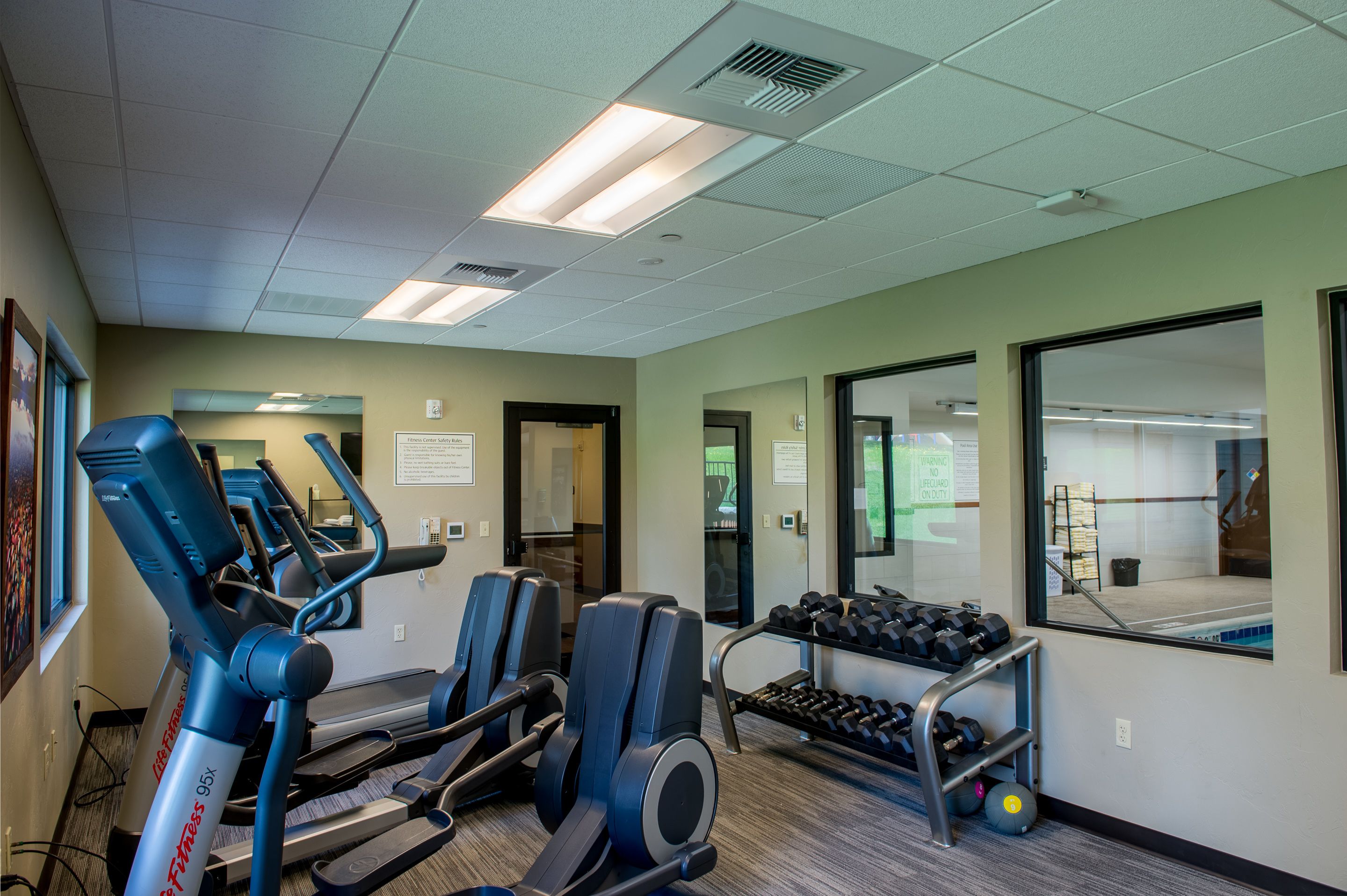 A gym with treadmills, elliptical machines, and a rack of dumbbells.