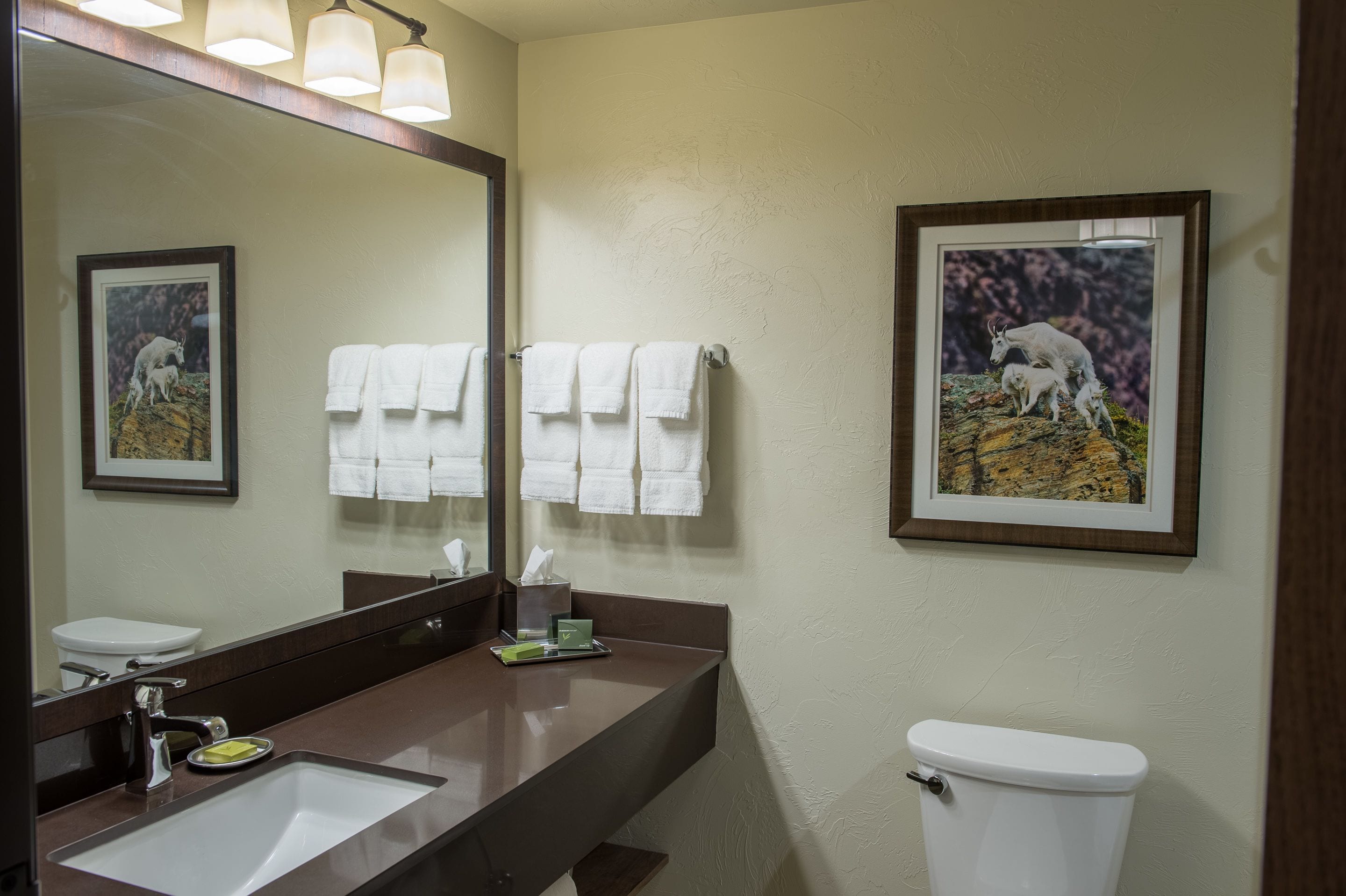 A bathroom with a sink, mirror, and toilet. There are towels hanging on a rack and framed pictures on the wall.
