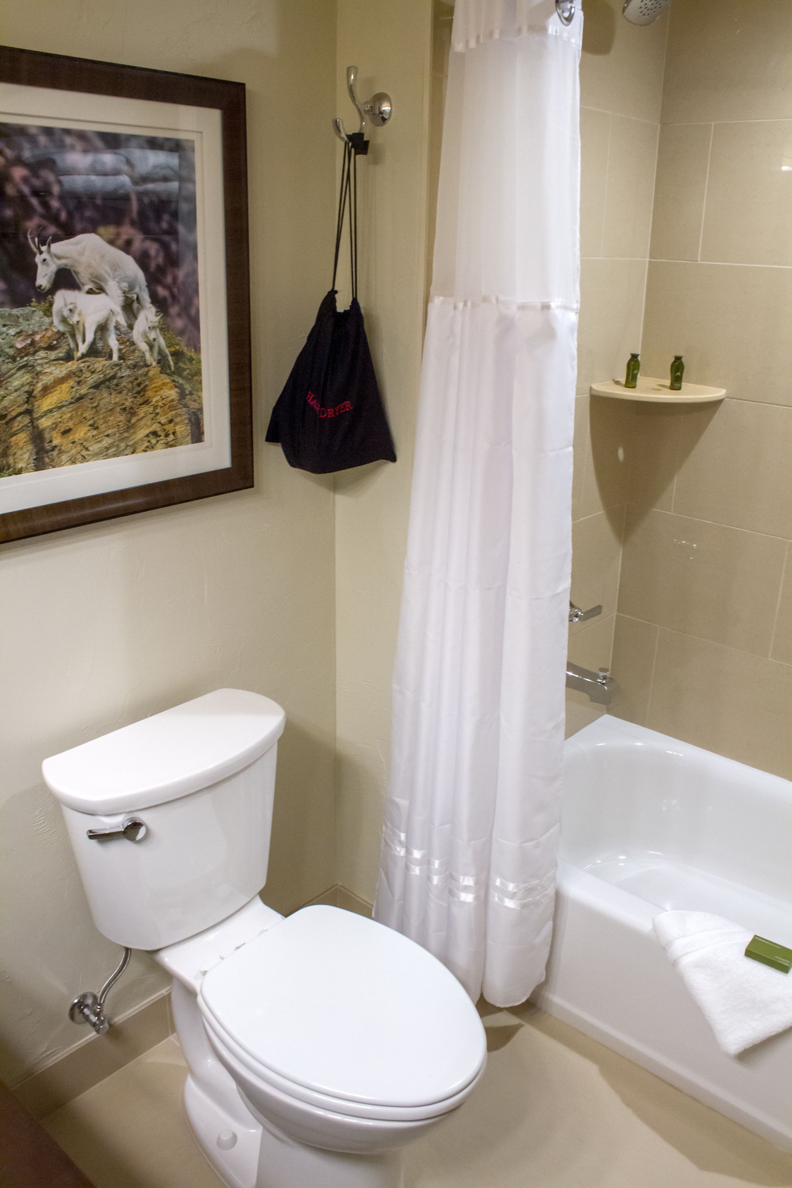 A bathroom with a toilet, a bathtub, and a shower curtain.