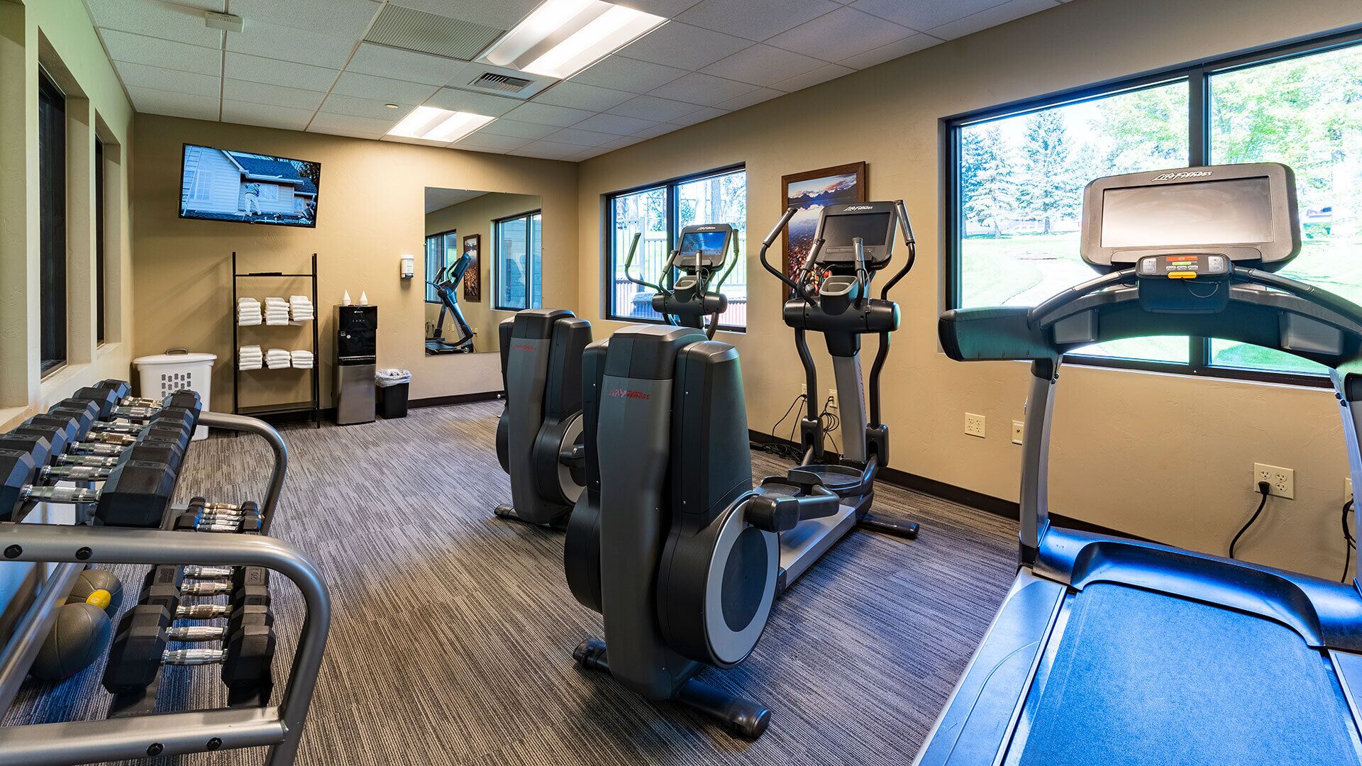 A gym with treadmills, elliptical machines, and weight benches.