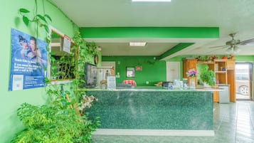 Un área de recepción con pared verde, mostrador de mármol y diversas plantas.