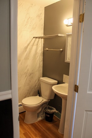 Combined shower/tub, free toiletries, towels, toilet paper