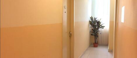 A hallway with a potted plant, a door, and a light fixture.