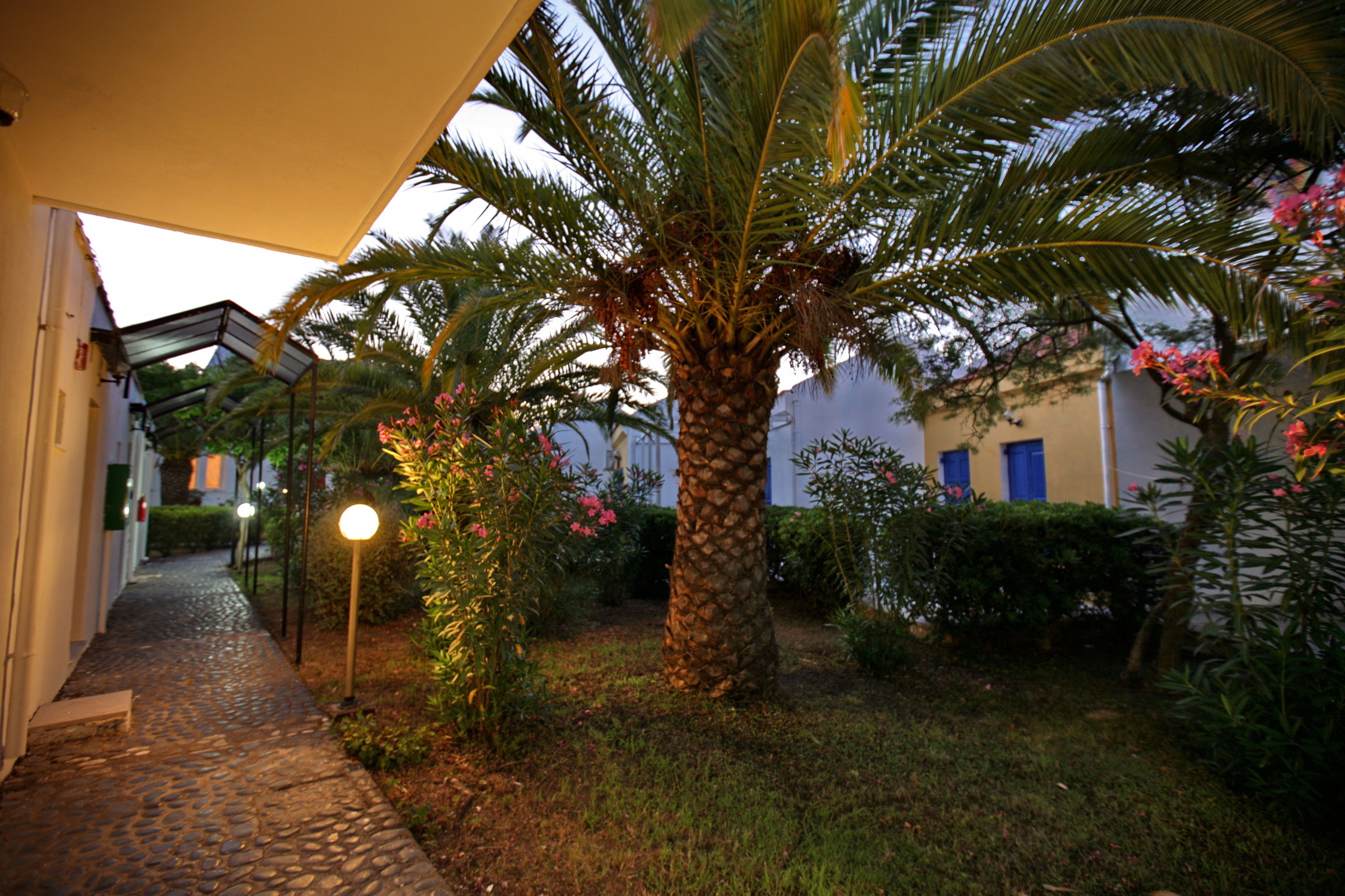 A pathway leading to a building with a palm tree and flowering plants.