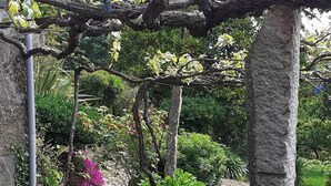 Ein Kopfsteinpflasterweg in einem Garten mit einer Pergola.