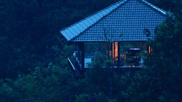 Uma casa tradicional em estilo japonês, situada em meio a uma floresta densa.