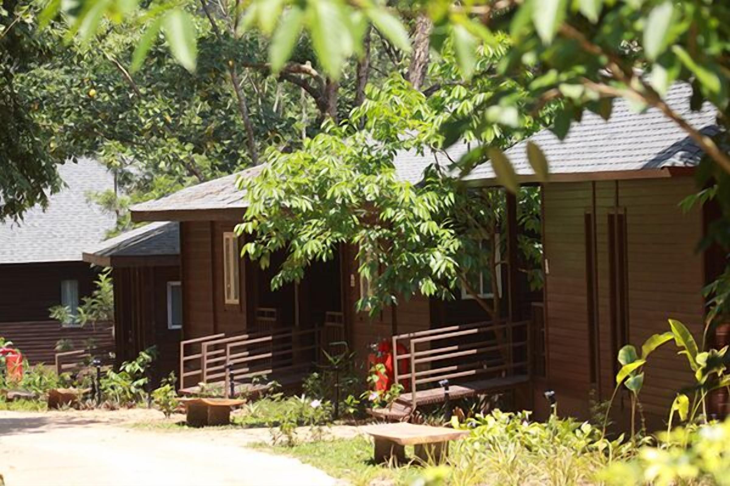 A wooden cabin with a porch, surrounded by greenery and a dirt path.