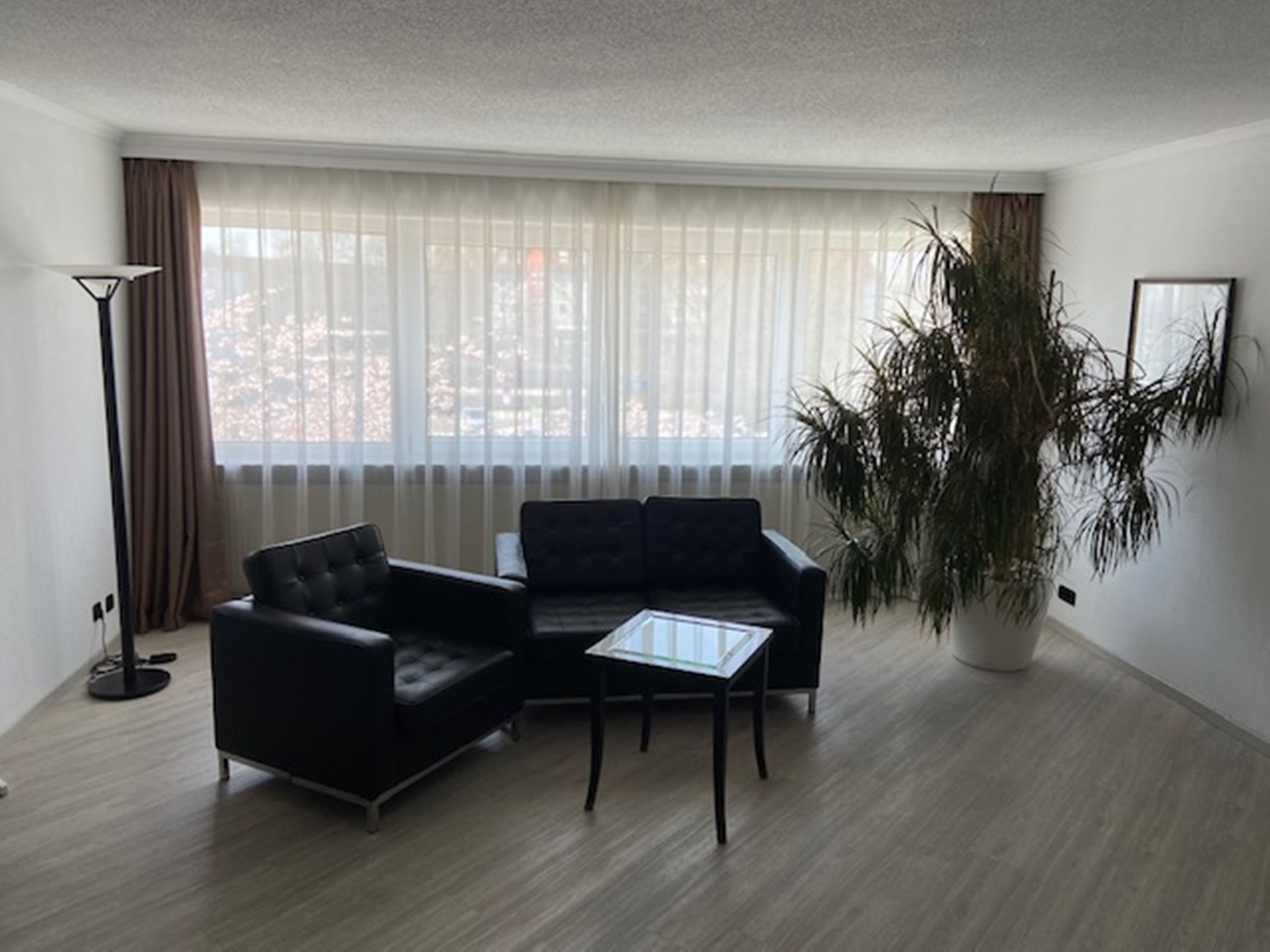 Una sala moderna con un sofá modular, una mesa de centro de vidrio y una planta grande en maceta.