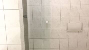 A bathroom with a glass-enclosed shower, a toilet, and a sink.