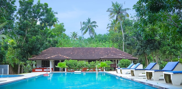 Outdoor pool, sun loungers