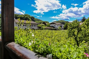 Habitación cuádruple, balcón, vistas al jardín | Vistas del balcón