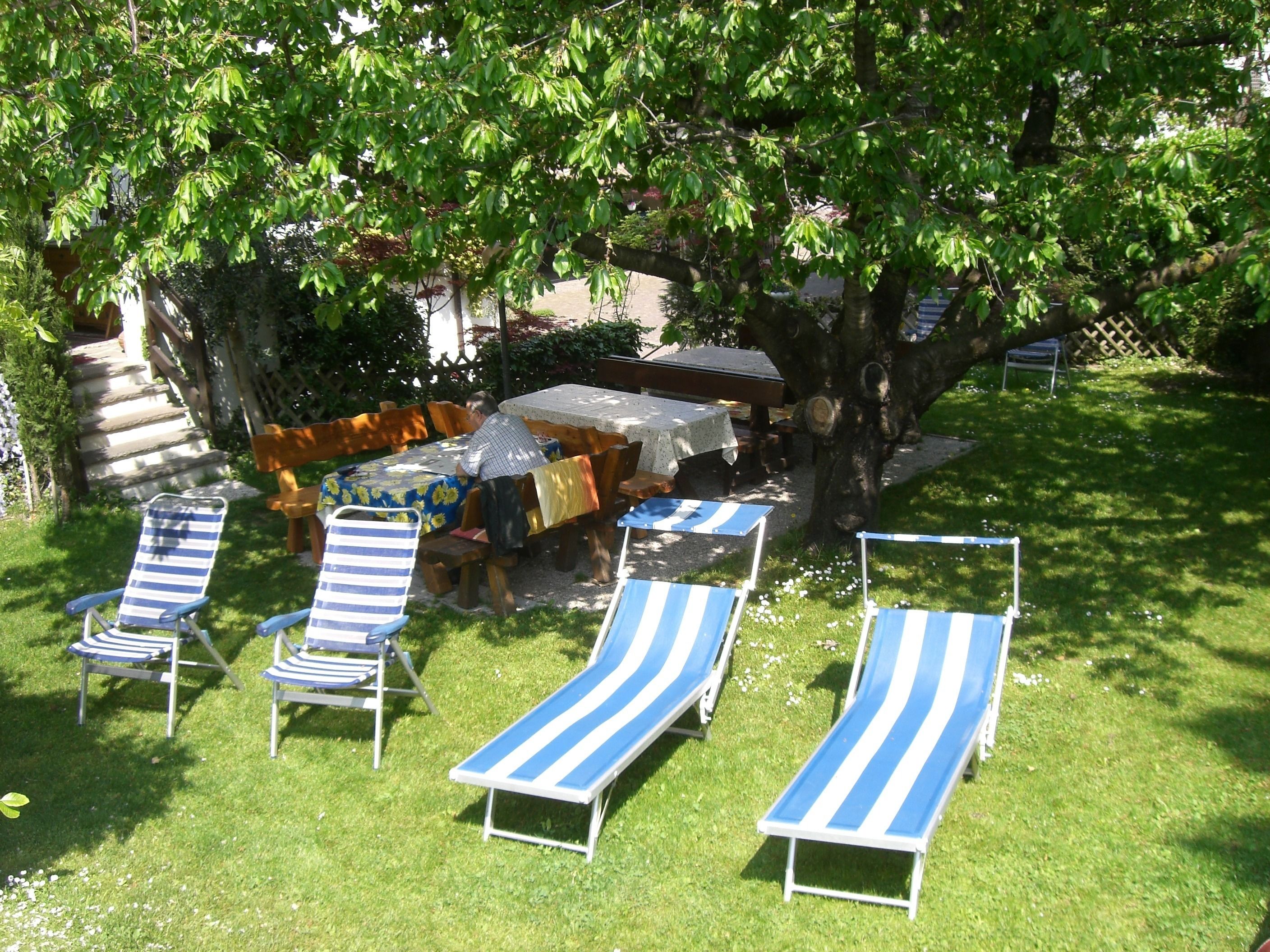 Un patio con sillones de descanso, una mesa y una zona de barbacoa bajo un árbol.