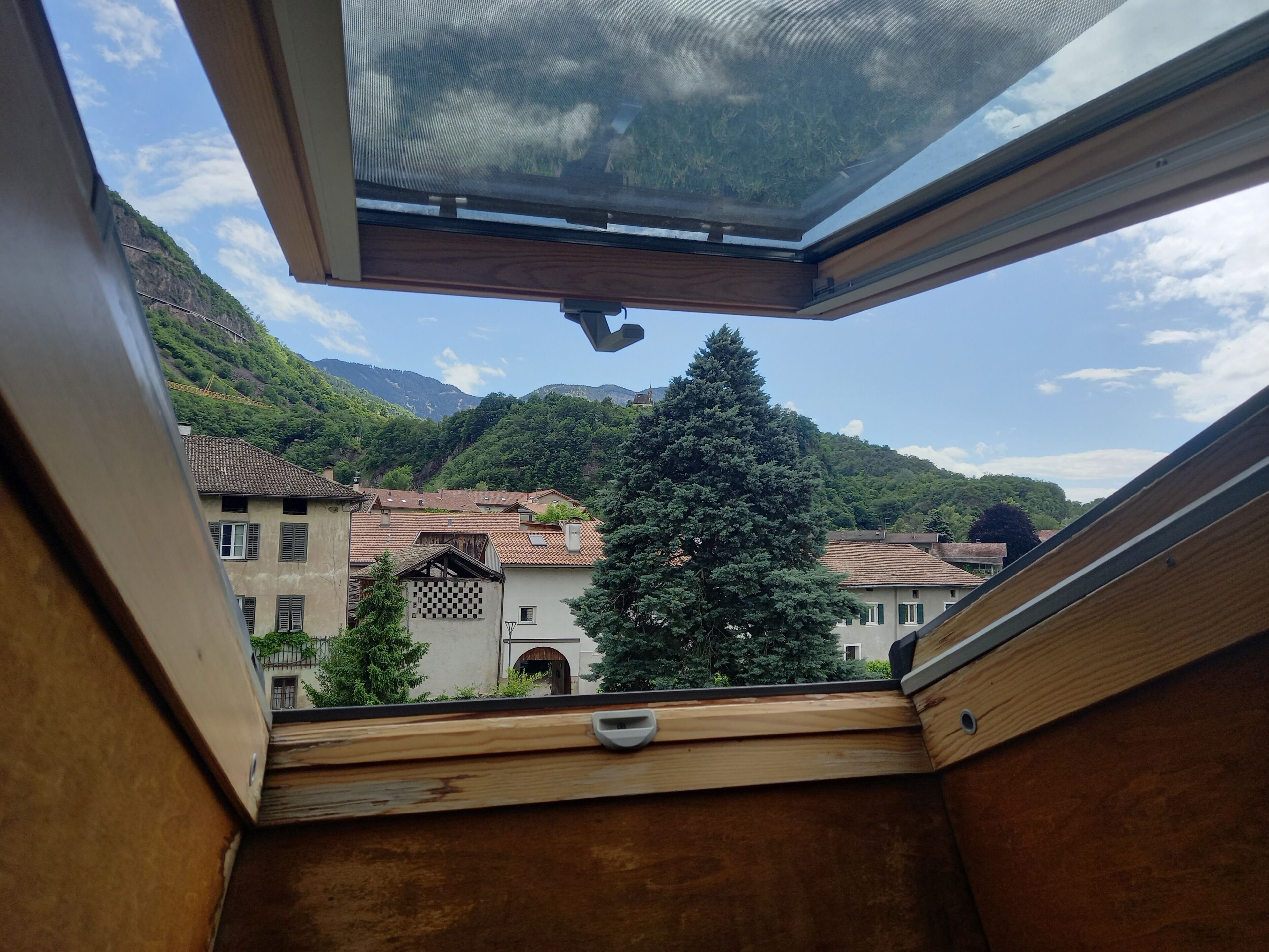 A view from a window with a wooden frame and a mesh screen, overlooking a village with traditional buildings and a large evergreen tree.