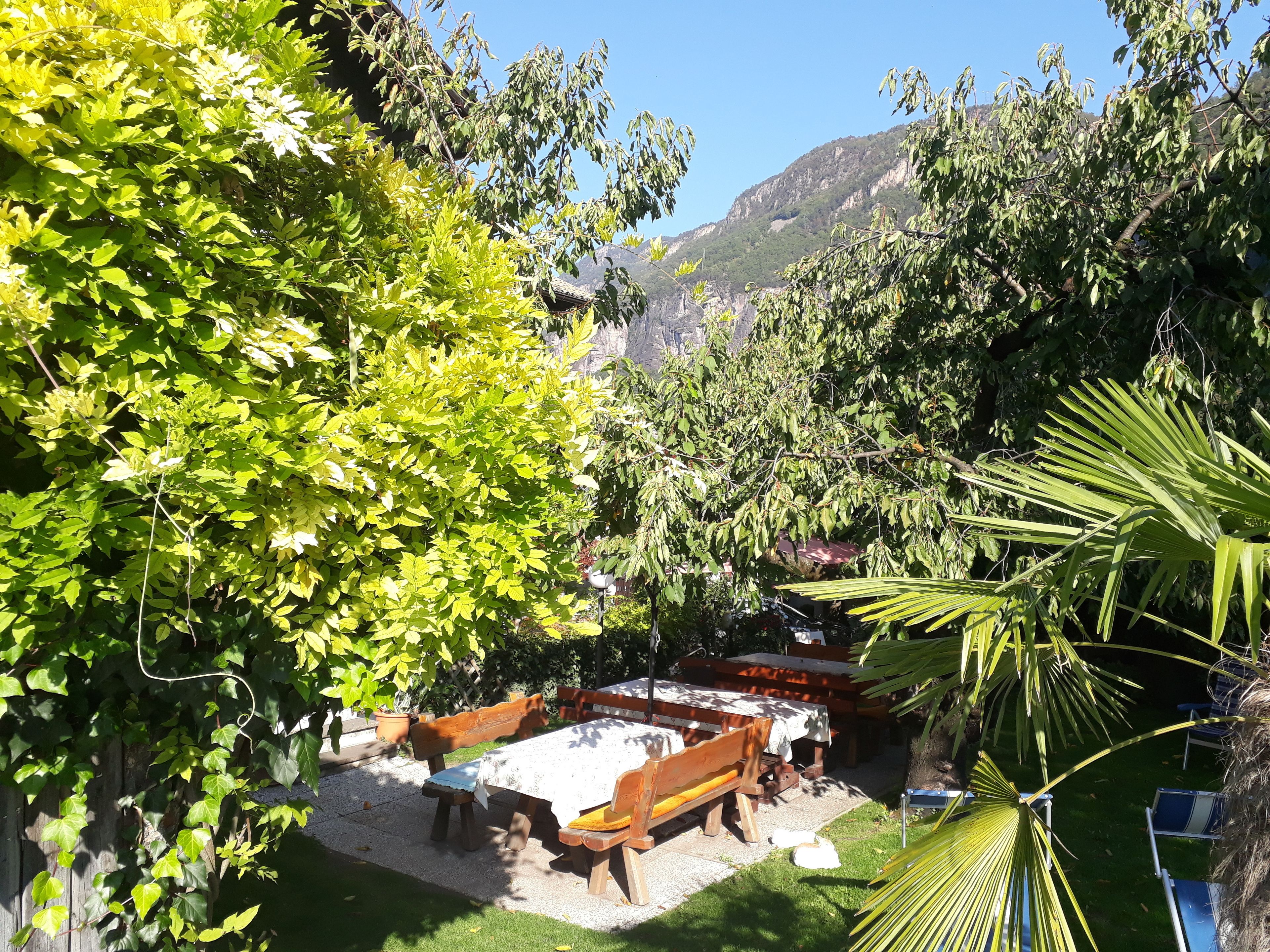 Zona relax all'aperto con panche e tavoli in legno, immersa nel verde e con vista su una montagna.