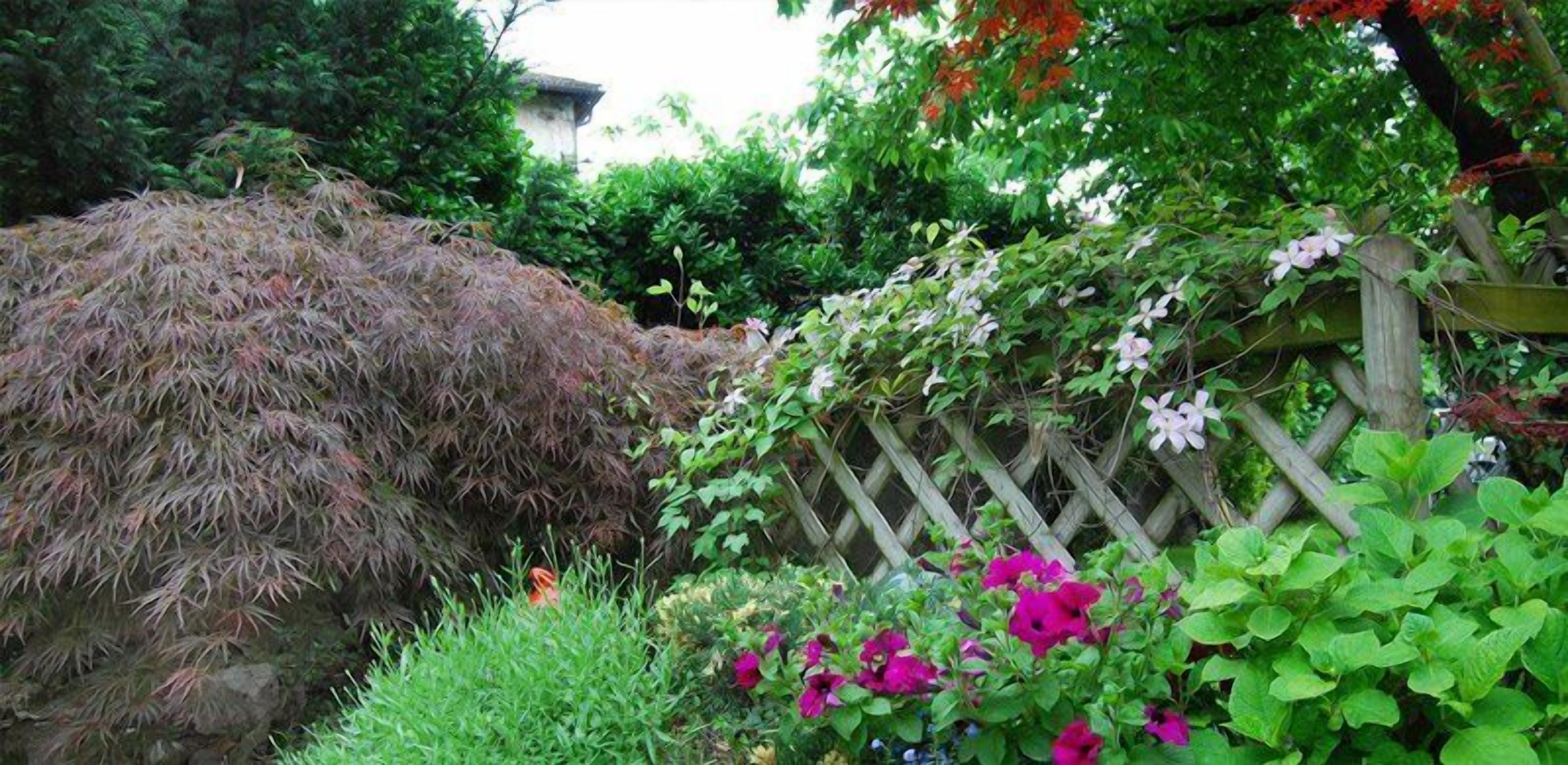 A garden with a wooden fence, various plants, and flowers.