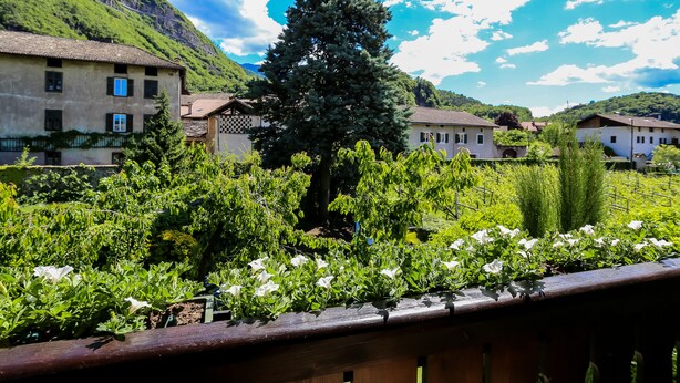 A rural village with traditional buildings, a prominent evergreen tree, and lush greenery. - Garni Meinrad (Ora)