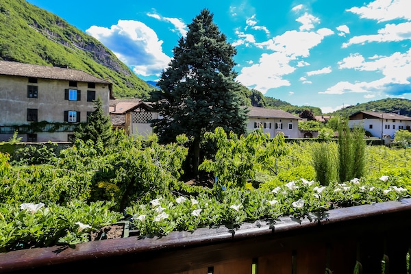 Vista dalla struttura