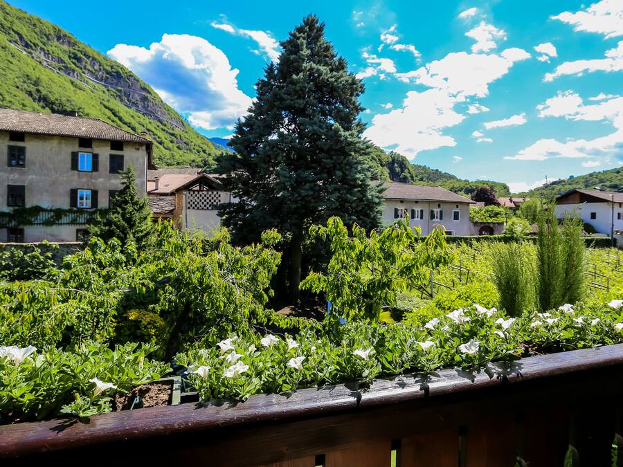 Udsigt fra overnatningsstedet