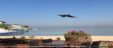 Mesa y sillas de madera en un patio con vista a una playa, cielo despejado y un ave volando.