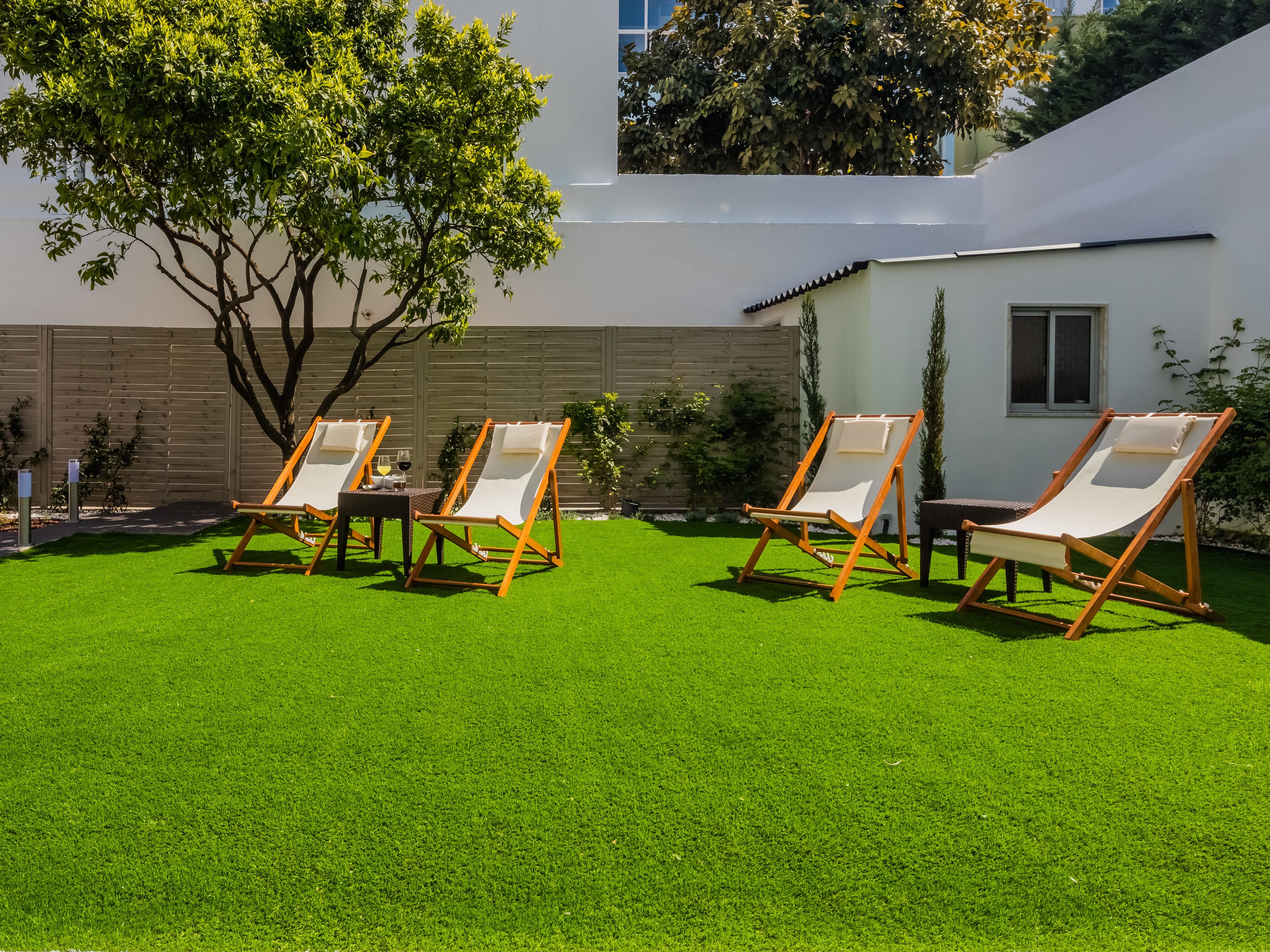 A backyard with four lounge chairs, a small table with drinks, and a tree.