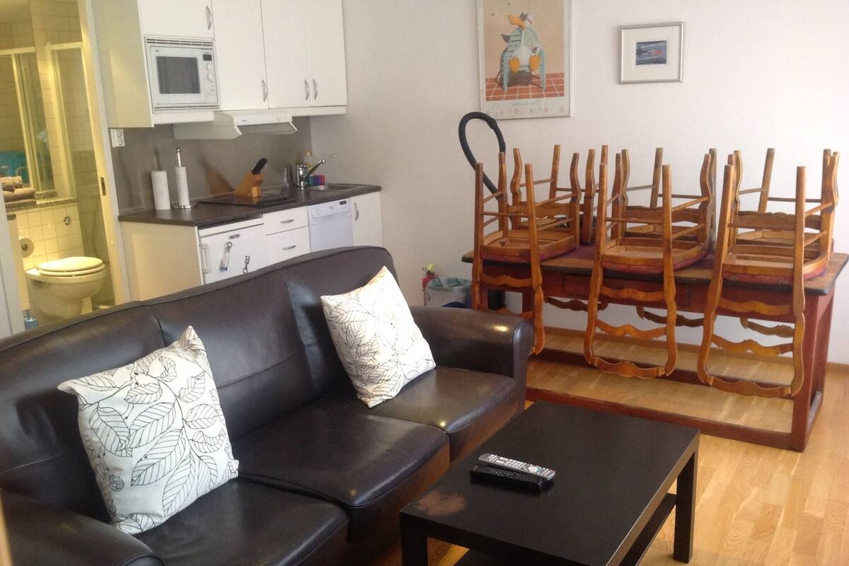 Apartment 1 Bedroom Citycentre Kvadraturen Skippergaten12 (Towels/Sheets/Cleaning Excluded) | Living room