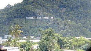 A lush green hill with dense vegetation and a few palm trees in the foreground.