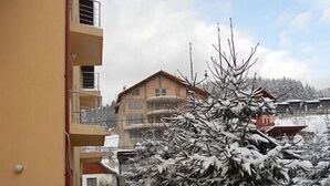 Exterior - Pension Flora Alpina (Azuga)