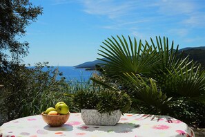 Classic Apartment, 2 Bedrooms, Balcony, Sea View | Terrace/patio