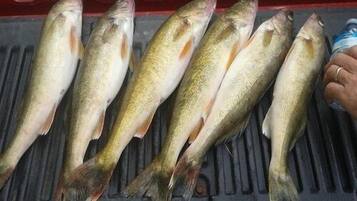 Fishing