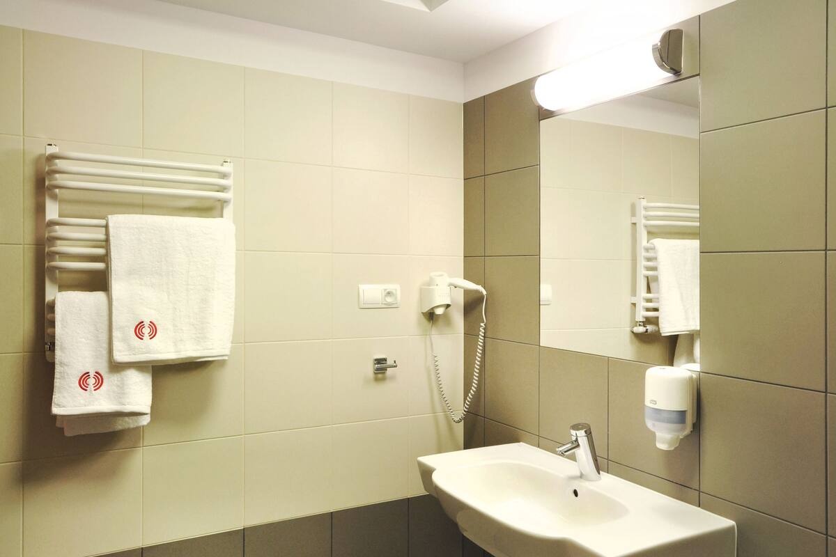 single room | bathroom | shower, hair dryer, towels