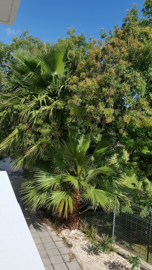 View from property - Faneromeni Court (Paphos)