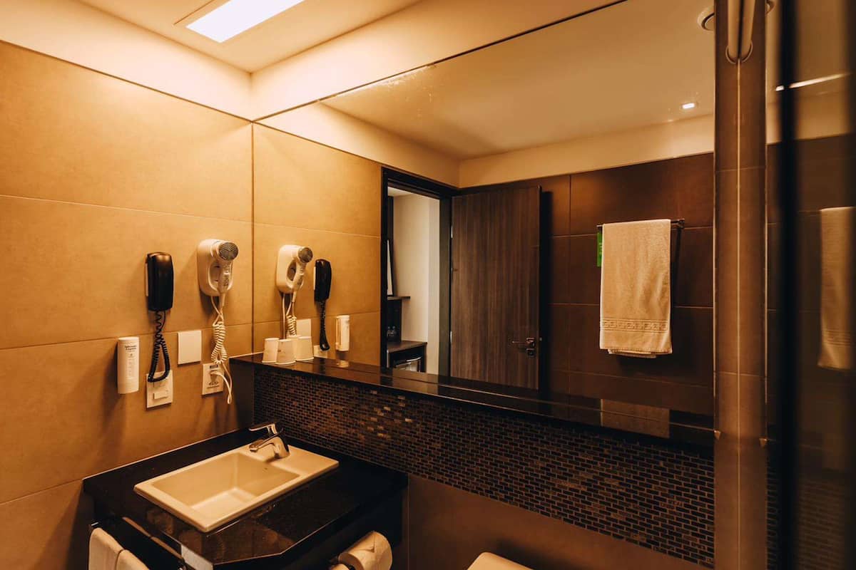 shower, eco-friendly toiletries, hair dryer, towels